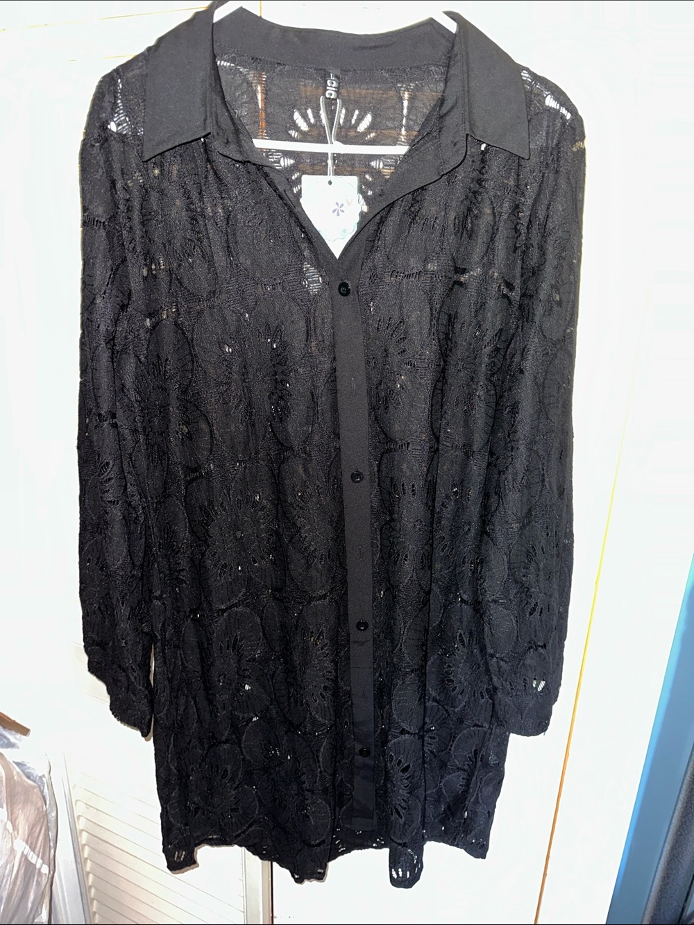Sheer Black Lace Long-Sleeve Button-Front Dress